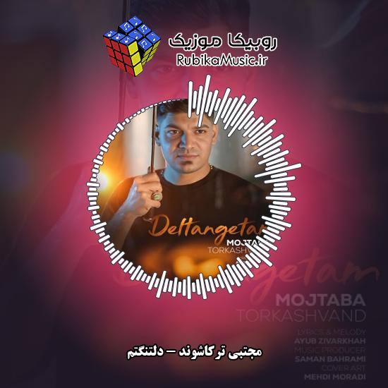 دانلود آهنگ دلتنگتم مجتبی ترکاشوند