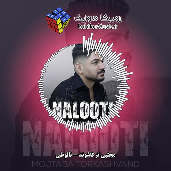 دانلود آهنگ نالوطی مجتبی ترکاشوند