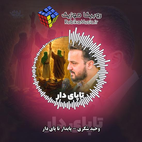 دانلود نماهنگ وحید شکری پایدار تا پای دار 4 دانلود نماهنگ پایدار تا پای دار وحید شکری