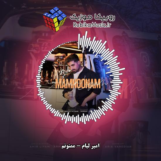 دانلود آهنگ امیر لیام ممنونم 5 دانلود آهنگ ممنونم امیر لیام