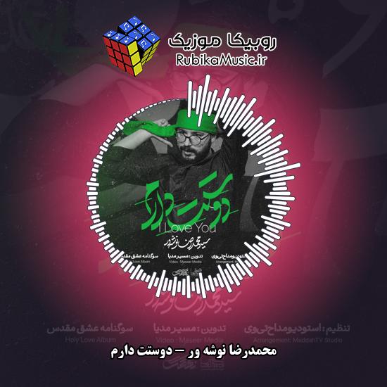 دانلود نماهنگ دوستت دارم محمدرضا نوشه ور