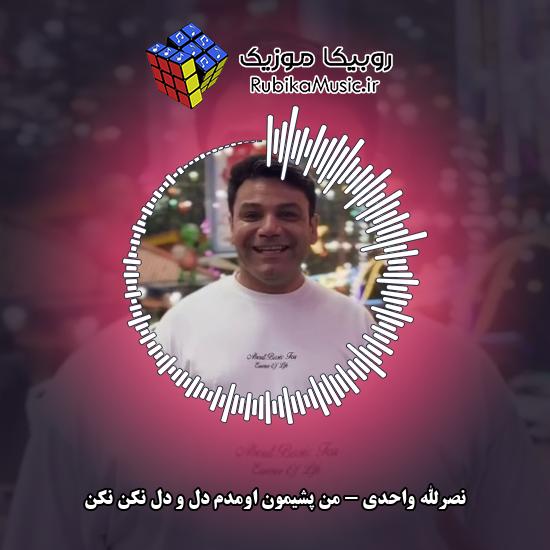 دانلود آهنگ من پشیمون اومدم دل و دل نکن نکن نصرالله واحدی