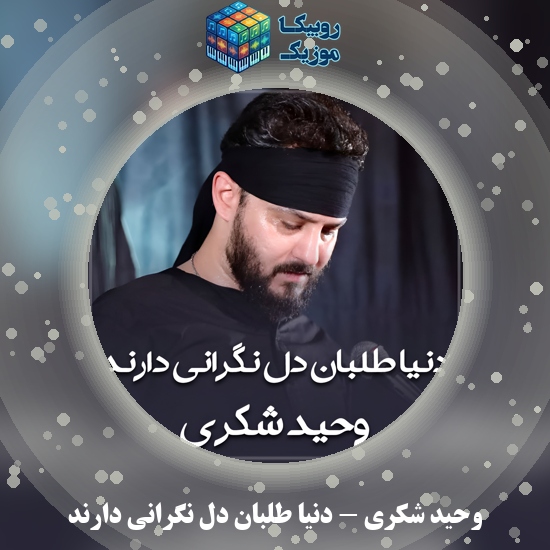 دانلود مداحی دنیا طلبان دل نگرانی دارند وحید شکری